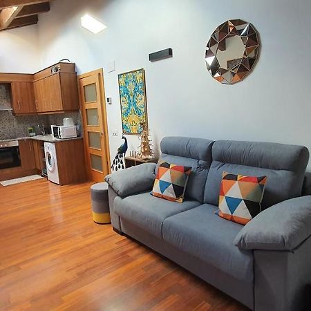 Apartmán Cal Tranquil Camprodon, Acollidor Atic Al Centre Exteriér fotografie