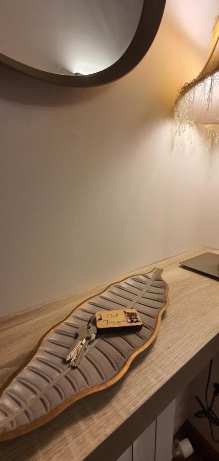 Apartmán Cal Tranquil Camprodon, Acollidor Atic Al Centre Exteriér fotografie