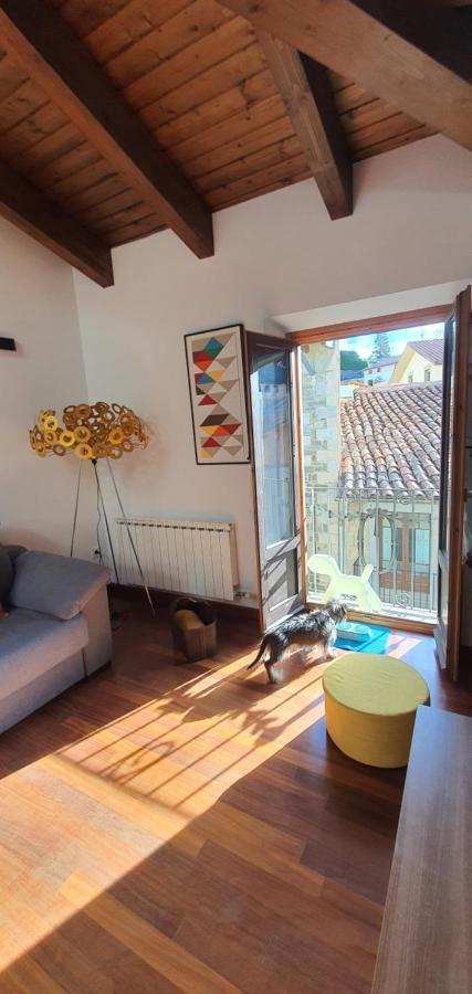 Apartmán Cal Tranquil Camprodon, Acollidor Atic Al Centre Exteriér fotografie
